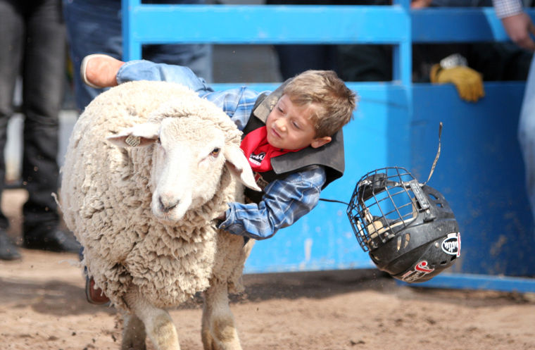 Rodeo